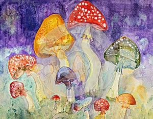 Psychedelic trippy magical mushrooms.