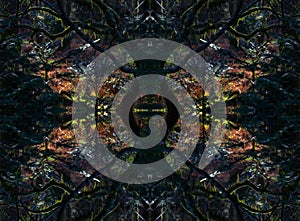 Psychedelic Woods during Winter, Symmetrical Kaleidoscope Abstract Background.