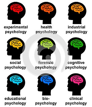 Psychology branches