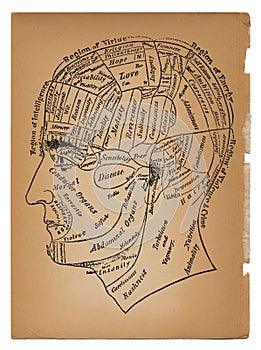 Psychology or medical illustration of male head photo