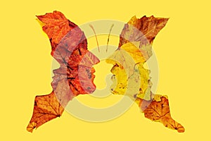 Psychology and optical illusion abstract concept four faces butterfly image. Flat lay arrangement of different shapes and color of