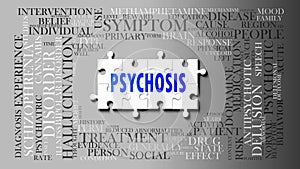 Psychosis - a complex subject, related to many concepts. Pictured as a puzzle and a word cloud made of most important ideas and