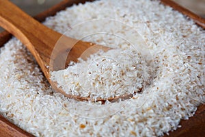 Psyllium ispaghula husk