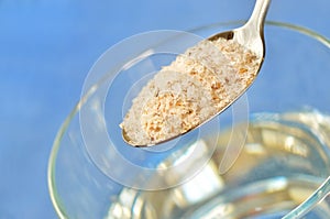 Psyllium seed