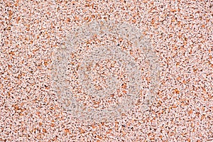 Psyllium Seeds Background