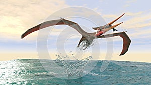 Pteranodon catching a fish