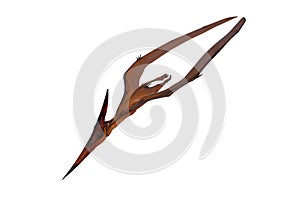 Pteranodon dinosaur diving to attack prey.. 3D illustration isolated on white with clipping path