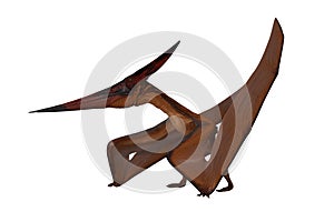 Pteranodon dinosaur on the ground walking. 3D illustration isolated on white with clipping path