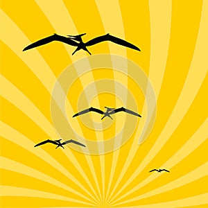 Pteranodon Dinosaur in the sky