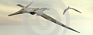 Pteranodon dinosaurs flying - 3D render