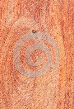 Pterocarpus tree wood