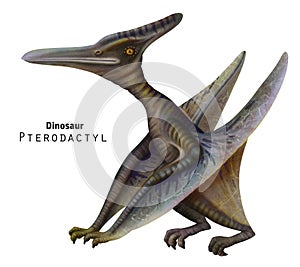 Pterodactyl illustration. Sitting dinosaur with its wings folded.