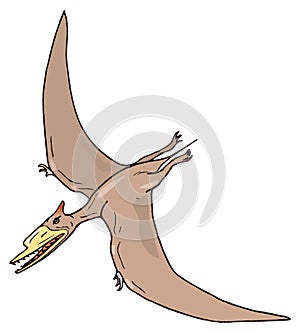 pterodactyl pteranodon dinosaur ancient vector illustration transparent background