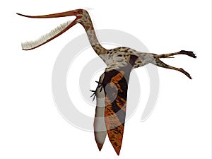 Pterodaustro Reptile Side Profile