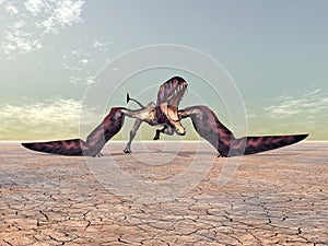 Pterosaur Dimorphodon