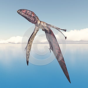 Pterosaur Dimorphodon