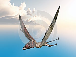 Pterosaur Dimorphodon
