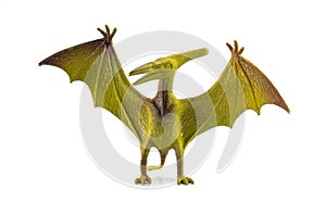 Pterosaur dinosaur toy
