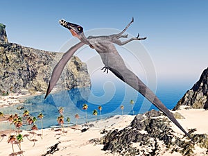 Pterosaur Dorygnathus