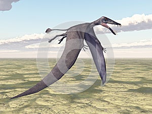 Pterosaur Dorygnathus