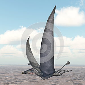 Pterosaur Dorygnathus