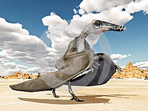 Pterosaur Dorygnathus