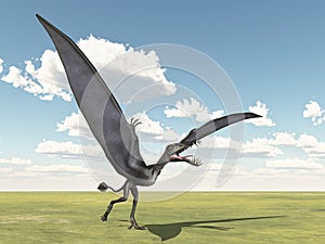 Pterosaur Dorygnathus