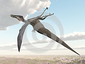 Pterosaur Dorygnathus