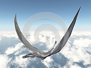 Pterosaur Dorygnathus