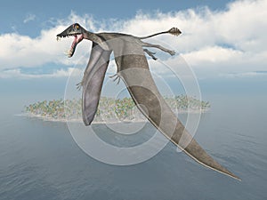 Pterosaur Dorygnathus