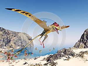 Pterosaur Peteinosaurus