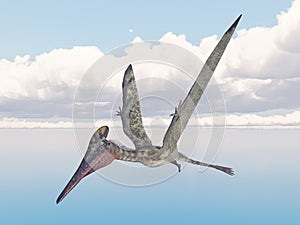 Pterosaur Pterodactylus