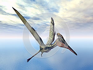 Pterosaur Pterodactylus