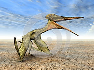 Pterosaur Pterodactylus