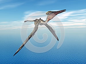 Pterosaur Pterodactylus