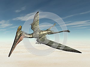 Pterosaur Pterodactylus