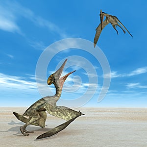 Pterosaur Pterodactylus