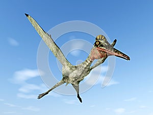Pterosaur Pterodactylus