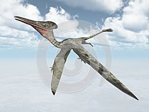 Pterosaur Pterodactylus