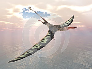 Pterosaur Rhamphorhynchus