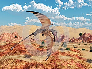 Pterosaur Rhamphorhynchus