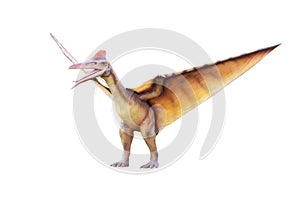 Pterosaur
