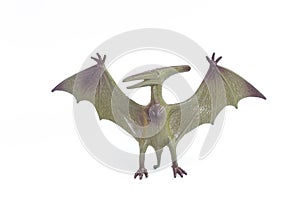 Pterosaurs dinosaur toy