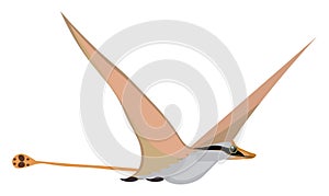 Pterosaurs, vector or color illustration
