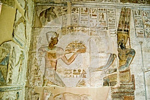 Ptolemy offering to Amun