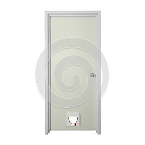 Pu door with modern cat door