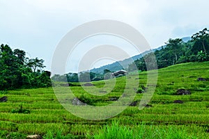 Pu Luong nature preserve in Thanh Hoa province of Vietnam