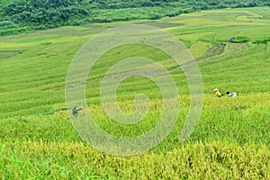 Pu Luong nature preserve in Thanh Hoa province of Vietnam