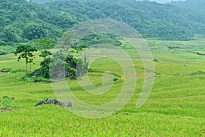 Pu Luong nature preserve in Thanh Hoa province of Vietnam