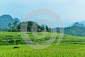 Pu Luong nature preserve in Thanh Hoa province of Vietnam